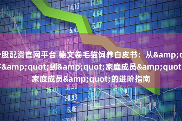 炒股配资官网平台 德文卷毛猫饲养白皮书:从"外星来客"到"家庭成员"的进阶指南